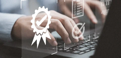 Blue Belt & Black Belt Certificates